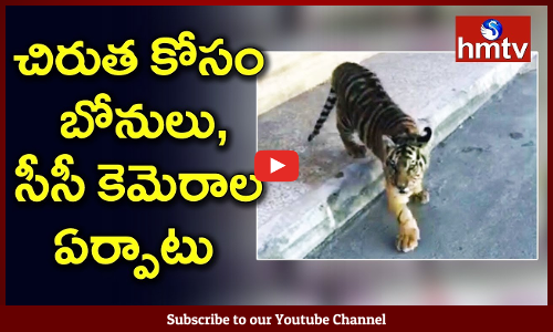 సంగారెడ్డి పటాన్ చెరులోని ఇక్రిశాట్ లో వారం రోజులైన చిరుత పులి జాడ తెలియరాలేదు.