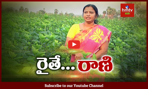"రైతేరాణి"