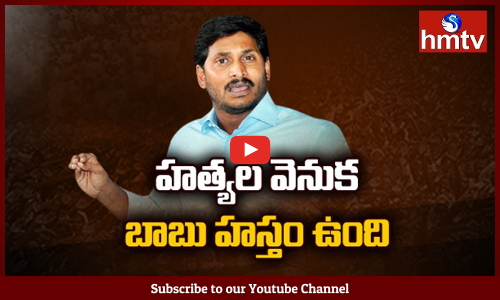 YS Jagan Allegations On Chandrababu Naidu Over YS Vivekananda Reddy Demise