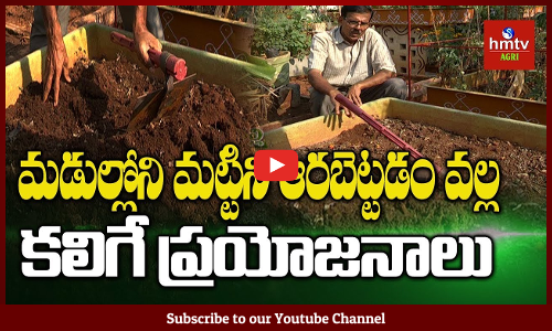 ఏప్రిల్, మే నెలల్లో మిద్దె తోటల్లో పాటించాల్సిన జాగ్రత్తలేంటి ?