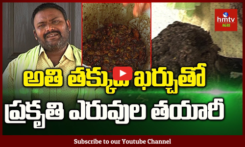 ప్రకృతి సాగులో ఎన్నో పద్ధతులు ఉన్నాయి