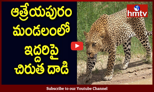 Leopard Attack On People at Atreyapuram Mandal