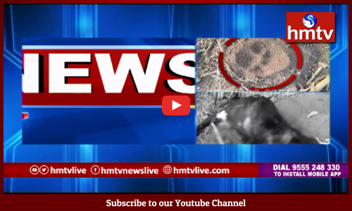 రంగారెడ్డి జిల్లా కొత్తపల్లిలో మరోసారి చిరుత కలకలం