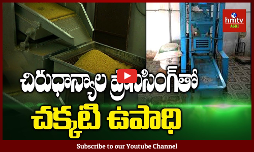 చిరుధాన్యాలకు మళ్ళీ మంచిరోజులు