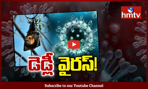కేరళలో ప్రాణాంతక నిఫా వైరస్‌ కలకలం | Nipah Virus Alert