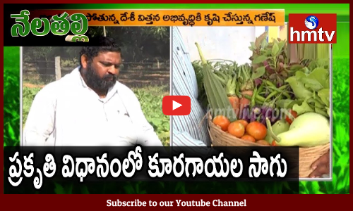 ప్రకృతి విధానం లో కూరగాయలు సాగు
