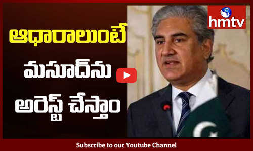 మసూద్‌కు వ్యతిరేకంగా ఏవైనా ఆధారాలుంటే తమకు చూపాలని, తాము వెంటనే అతనిపై చర్యలు తీసుకుంటామని పాకిస్తాన్ విదేశాంగ మంత్రి షా మహమ్మద్ ఖురేషి హామీ ఇచ్చారు