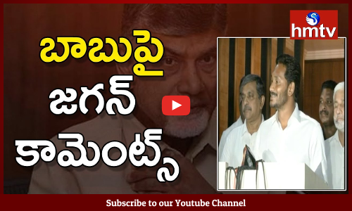 ఆంధ్రప్రదేశ్‌ అసెంబ్లీ ఎన్నికల్లో వైసీపీ విజయం ఖాయం