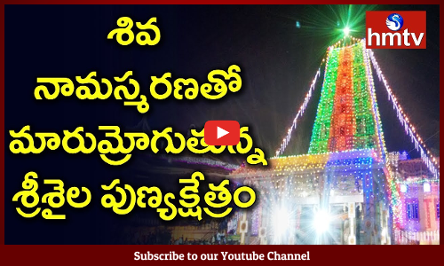 శ్రీశైలం శివమయం: Maha Shivaratri Celebrations at Srisailam Mallikarjuna Swamy Temple