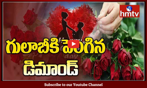 వాలెంటయిన్స్‌డే సందర్భంగా నగరంలో గులాబీలకు డిమాండ్ పెరిగింది.