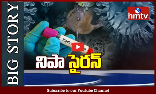 నిపా వైరస్ అనేది ఏంటి? ఎక్కడనుంచి వచ్చింది?