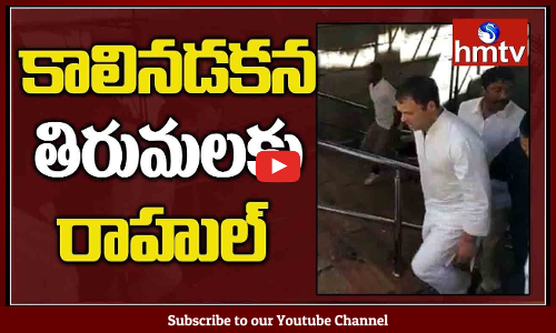 కాలినడకన తిరుమలకు బయలు దేరిన యువనేత రాహుల్‌