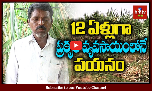 11 ఎకరాలలో ప్రకృతి వ్యవసాయం