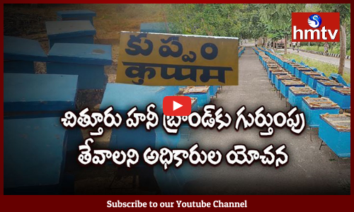 దేశంలోనే తొలిసారిగా కుప్పంలో తేనె పరిశ్రమ ఏర్పాటు....