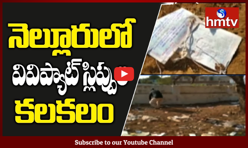 నెల్లూరులో వీవీ ప్యాట్‌ స్లిప్పులపై ఈసీ విచారణ