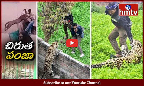 పంజాబ్‌లో జనానికి చుక్కలు చూపించిన చిరుత