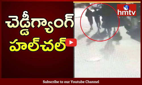 మెట్రో అపార్టుమెంట్‌లోని ఓ ఫ్లాట్‌లో చొరబడిన చెడ్డీగ్యాంగ్