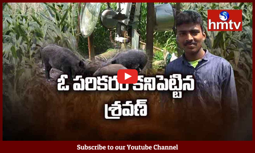 నిజామాబాద్ యువరైతు వినూత్న ఆలోచన