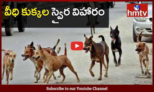 వీధి కుక్కల స్వైర విహారం