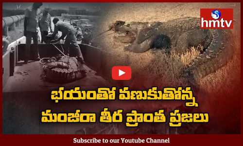 కంటి మీద కనుకు లేకుండా చేస్తోన్న మొసళ్లు