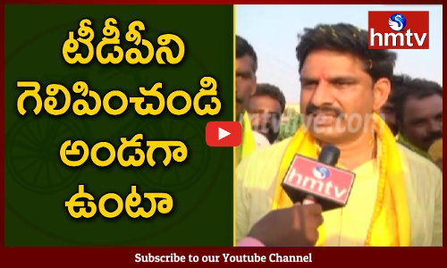 టీడీపీని గెలిపించండి.. అండగా ఉంటా