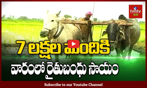 7 లక్షల మందికి వారంలో రైతుబంధు సాయం